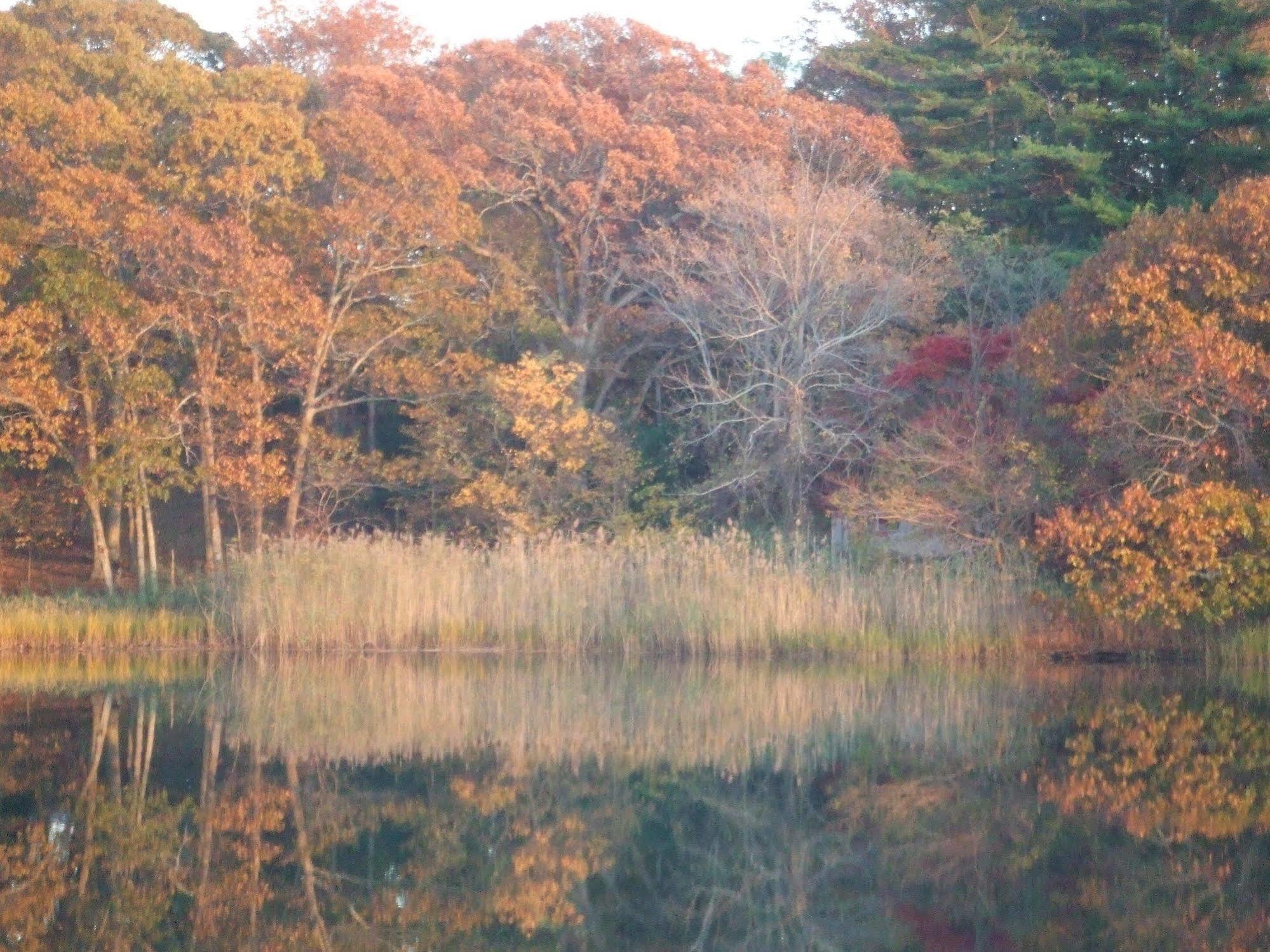 לינה וארוחת בוקר Shelter Island Heights House On Chase Creek מראה חיצוני תמונה